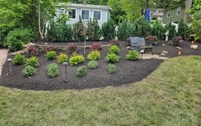 Professional Landscape Bed Installation After